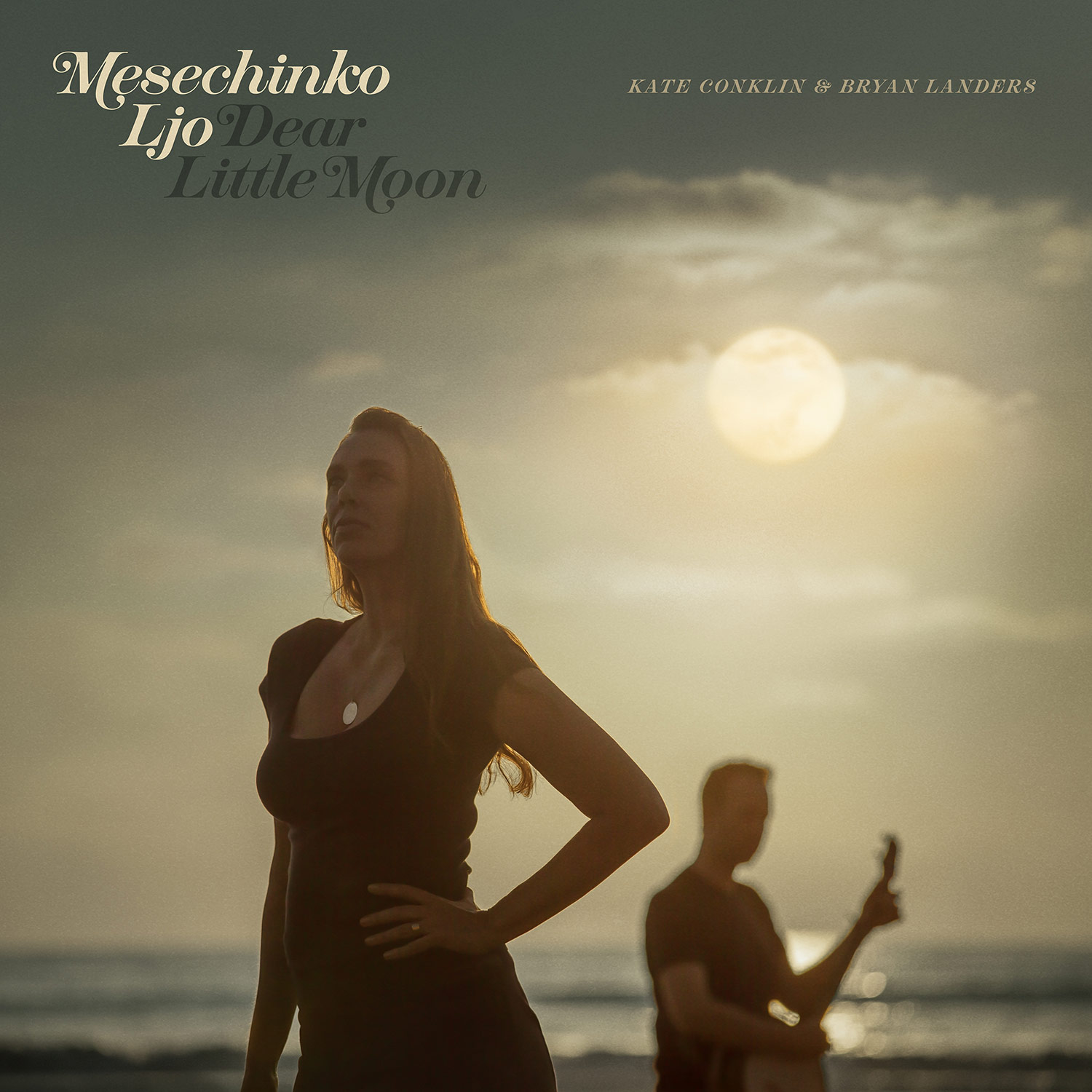 The official cover art for Mesechinko Ljo or Dear Little Moon.